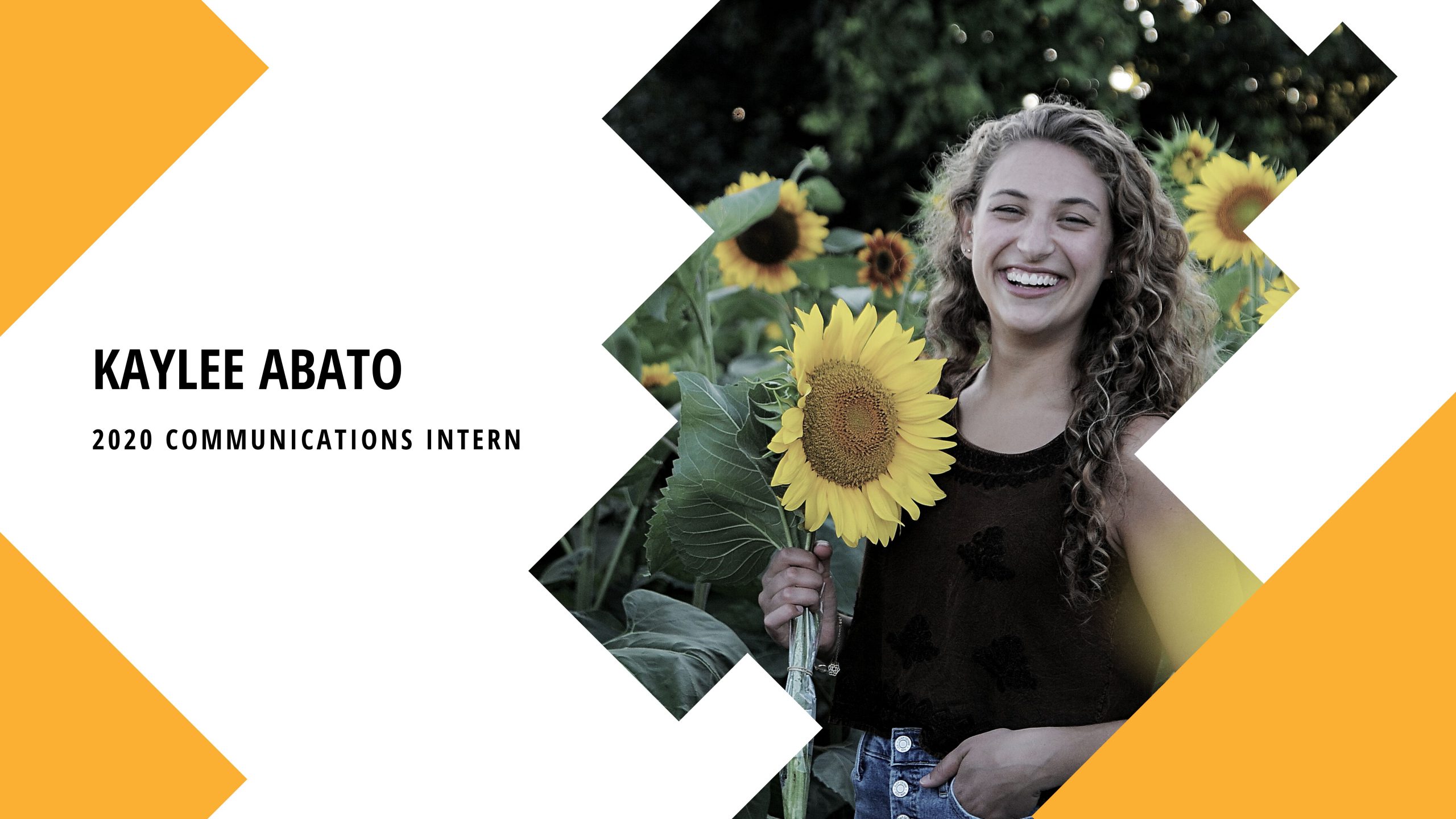 Intern Blog